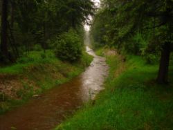 2013-06-02_Regina-F-Rau_Geretsrieder-Stadtbach_Isar (06).JPG